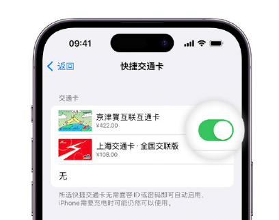 合作apple维修点分享iPhone上更换Apple Pay快捷交通卡手绘卡面 