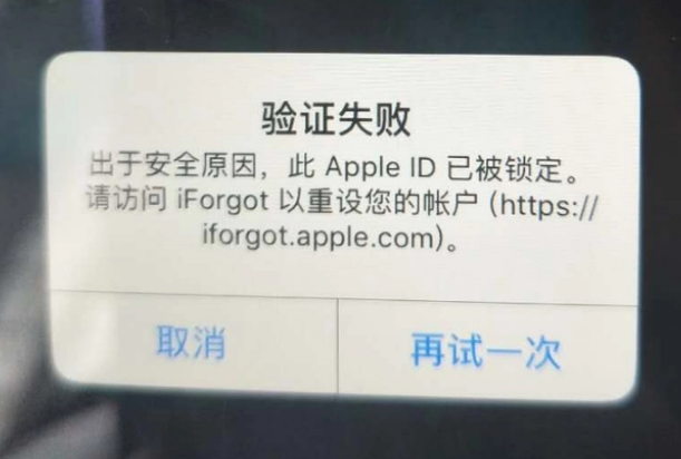 合作iPhone维修分享iPhone上正常登录或使用AppleID怎么办 