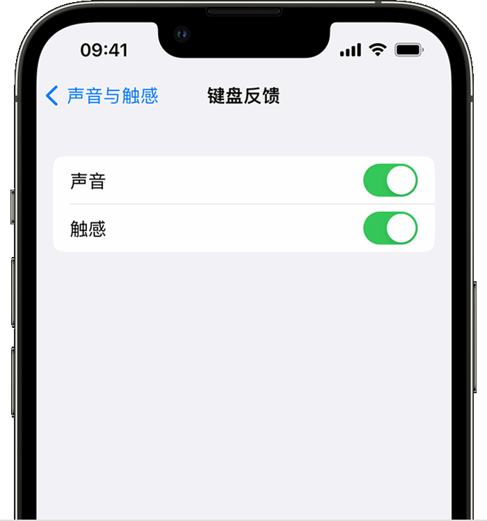 合作苹果14维修店分享如何在 iPhone 14 机型中使用触感键盘 