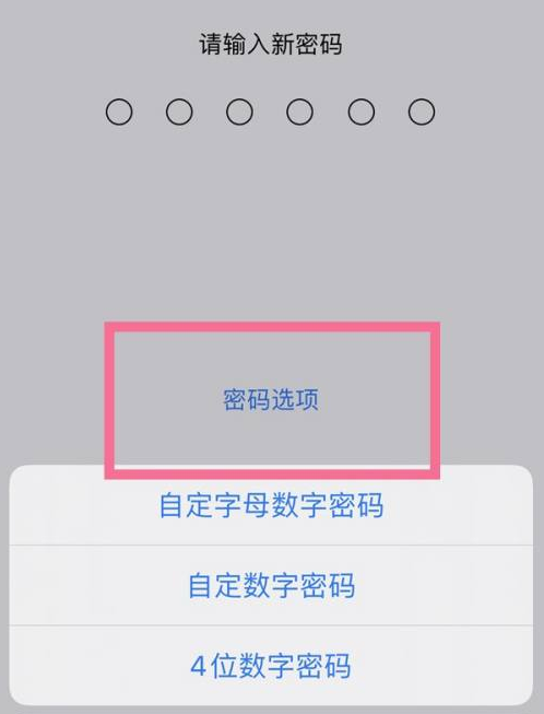 合作苹果14维修分享iPhone 14plus设置密码的方法 