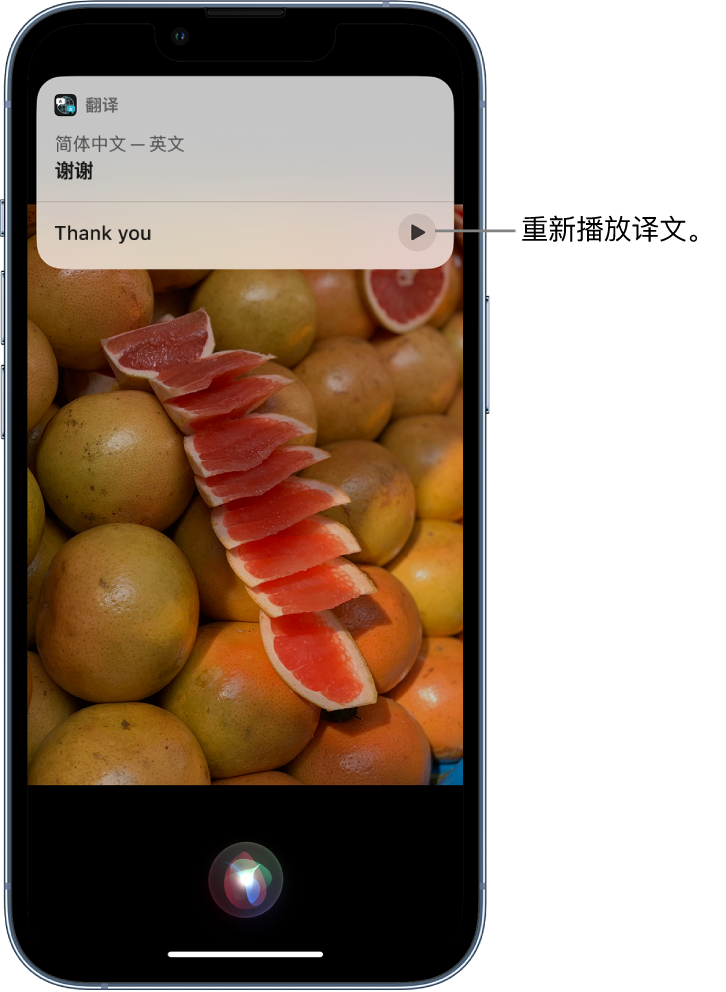 合作苹果14维修分享 iPhone 14 机型中使用 Siri：了解 Siri 能帮你做什么 