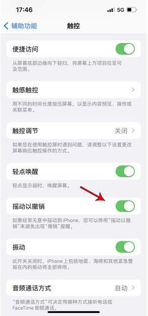 合作苹果手机维修分享iPhone手机如何设置摇一摇删除文字 